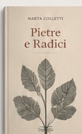 Copertina Pietre e radici